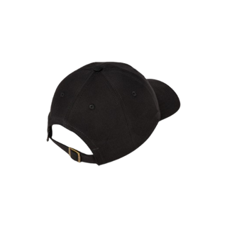 PC Dad Hat x Sandlot Goods