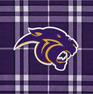 Panthers Plaid Flannels