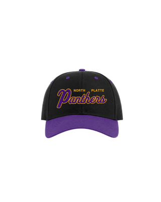 Panthers Snapback Hat