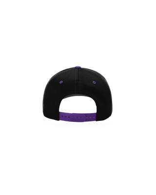 Panthers Snapback Hat